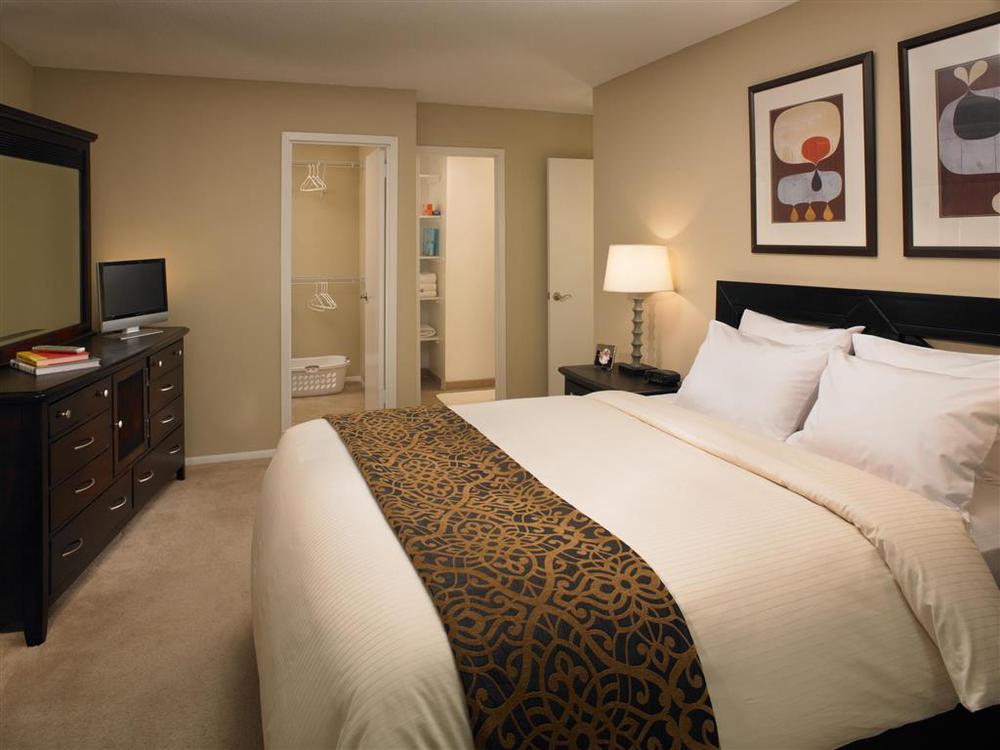 Mainsail Suites Hotel & Conference Center Tampa Chambre photo